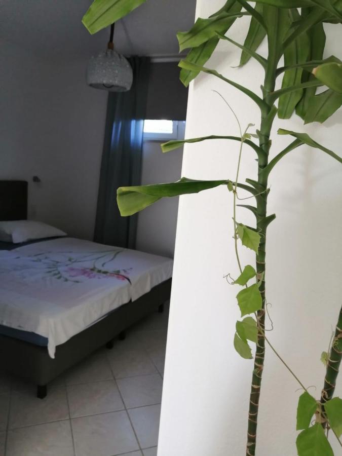 Kuca Moni Apartment Medulin Ngoại thất bức ảnh